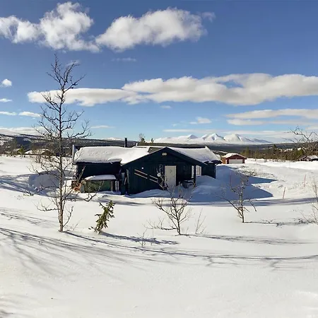 Beautiful In Engerdal With Kitchen * Kvisla